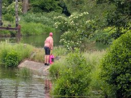 Mainschwimmen Juni 2026